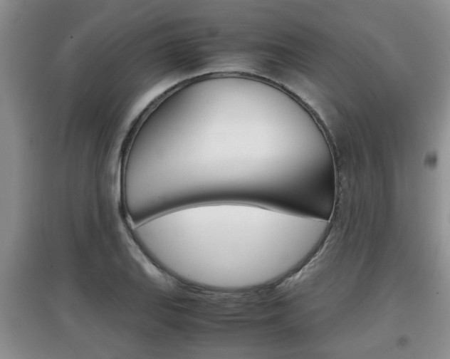X0000097901127200803141000
