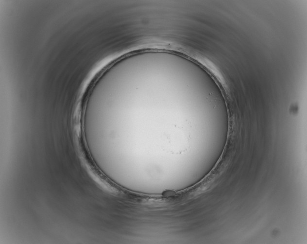 X0000097901128200803141000