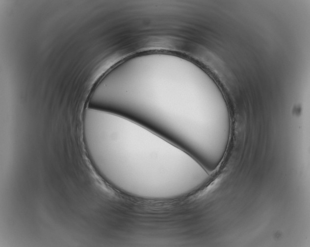 X0000097901129200803141000