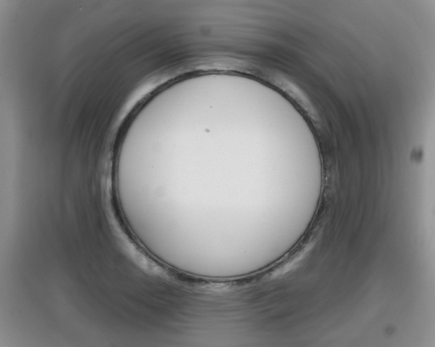 X0000097901130200803141000