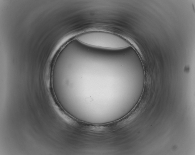 X0000097901131200803141000