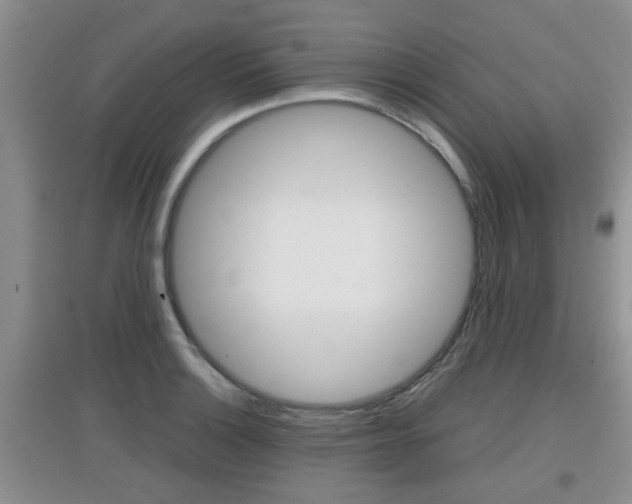 X0000097901132200803141000