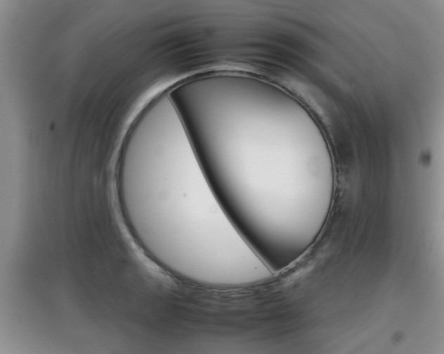 X0000097901133200803141000