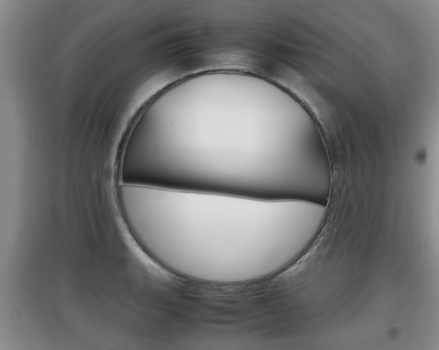 X0000097901135200803141000
