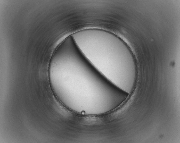 X0000097901137200803141000