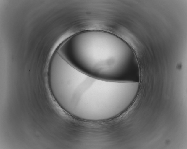 X0000097901138200803141000
