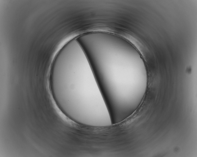X0000097901139200803141000