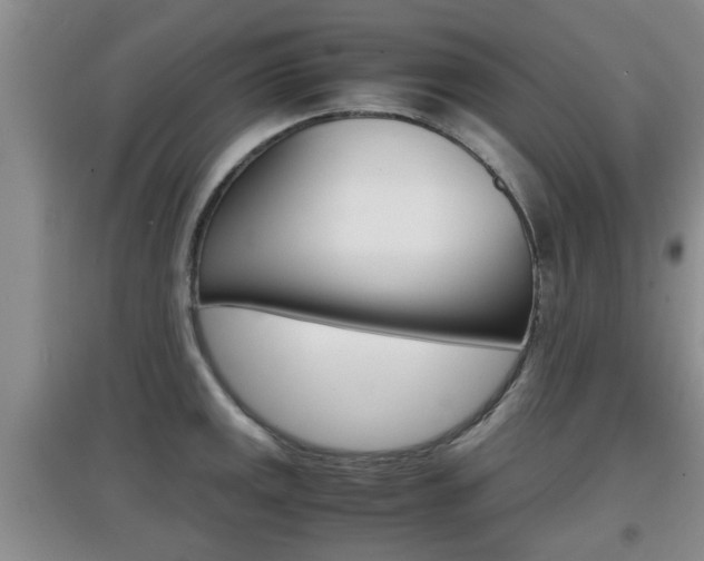 X0000097901141200803141001
