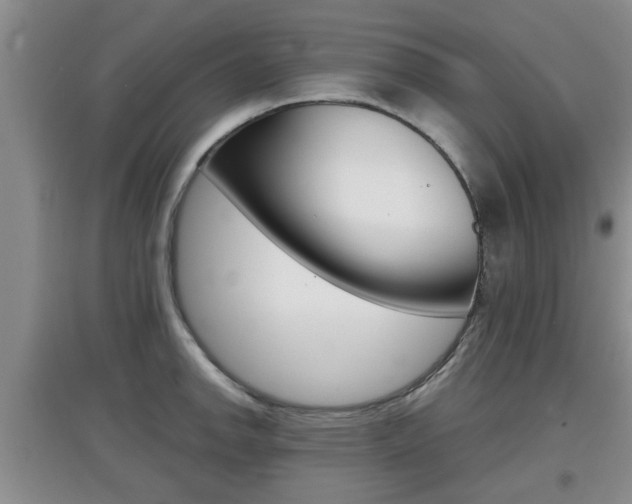 X0000097901142200803141001
