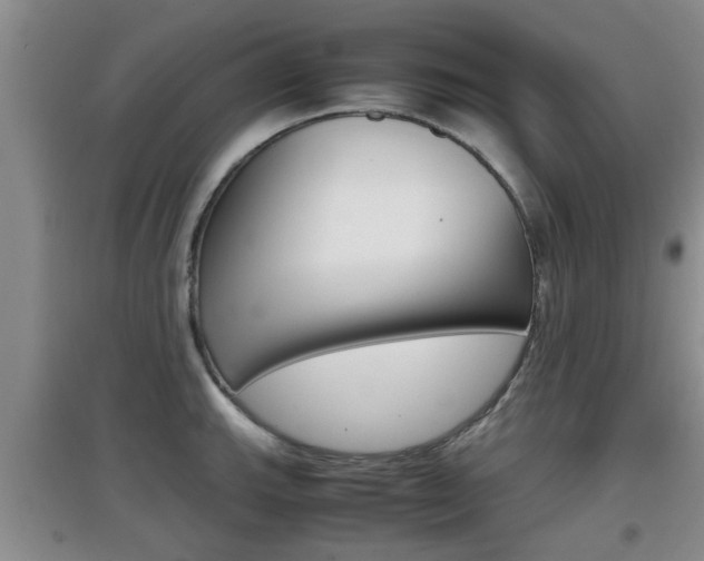 X0000097901143200803141001