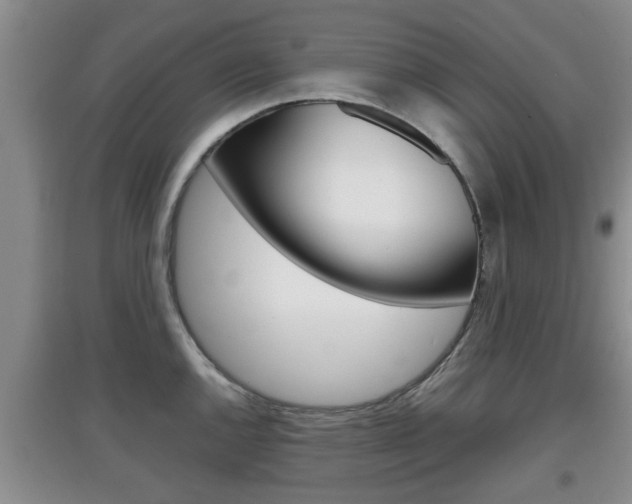 X0000097901144200803141001