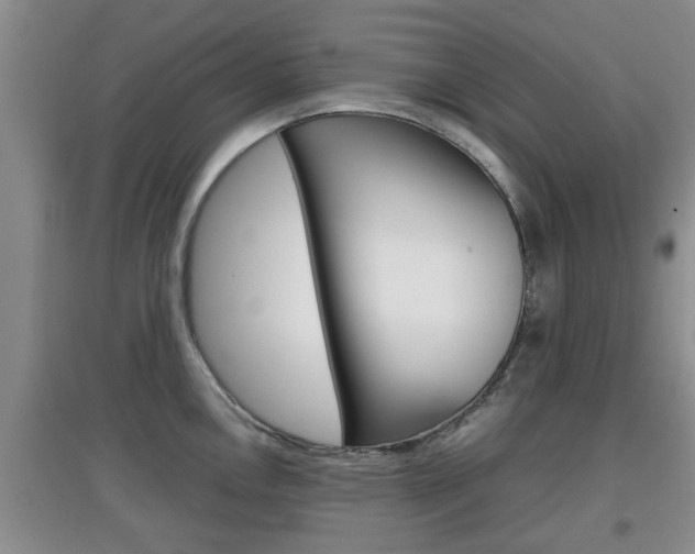X0000097901146200803141001