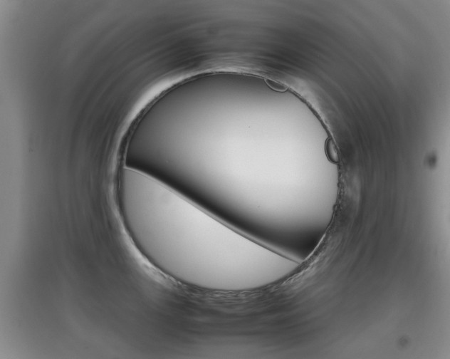 X0000097901147200803141001