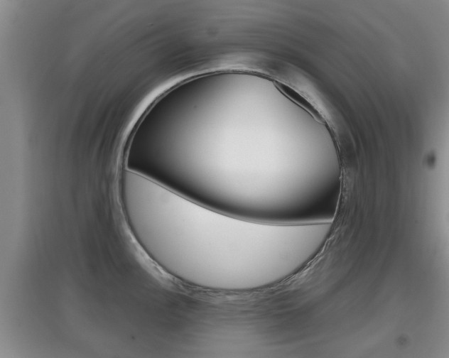 X0000097901148200803141001