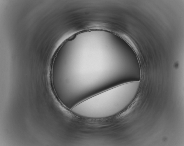 X0000097901149200803141001