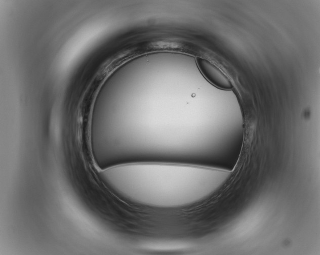X0000097901151200803141001