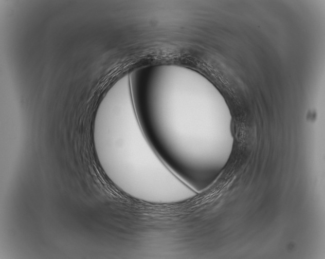 X0000097901153200803141000