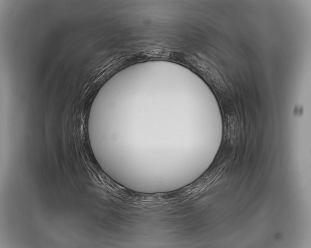 X0000097901154200803141000