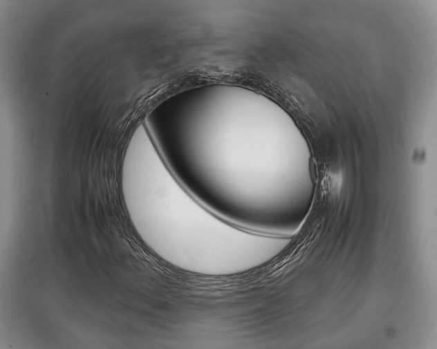 X0000097901156200803141000