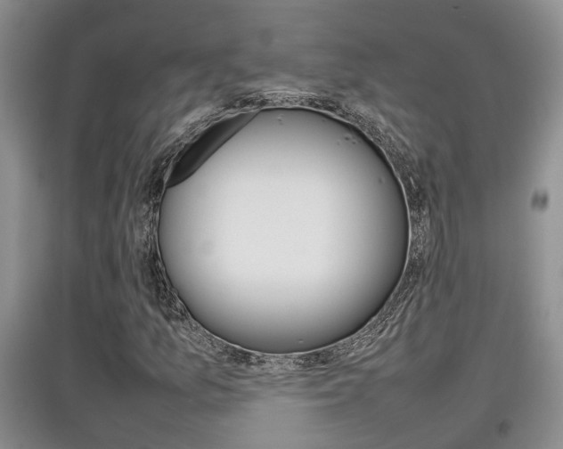 X0000097901157200803141000