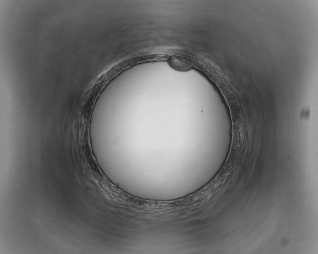 X0000097901158200803141000