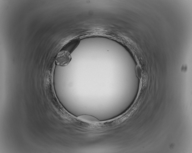 X0000097901161200803141000