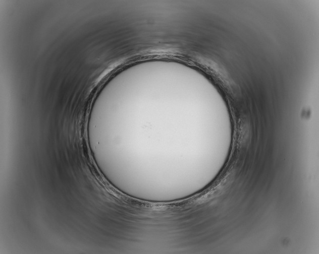 X0000097901162200803141000