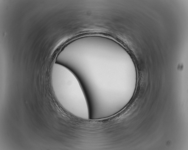 X0000097901163200803141000