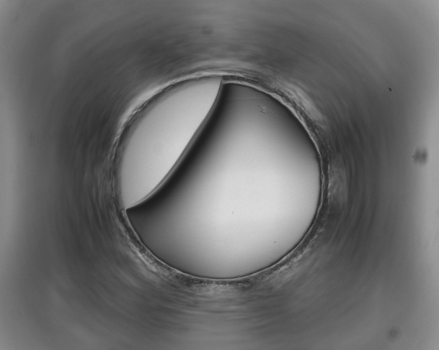 X0000097901164200803141000