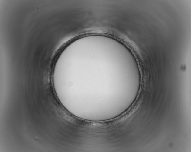 X0000097901166200803141000