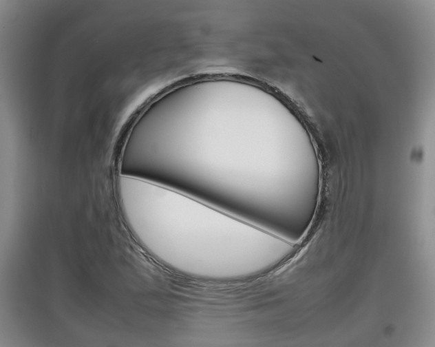 X0000097901167200803141000