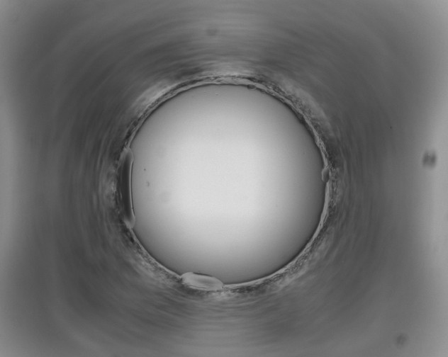 X0000097901169200803141000