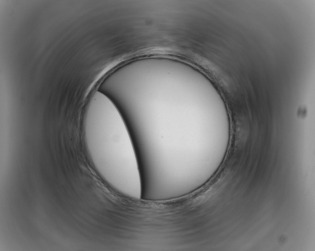 X0000097901170200803141000