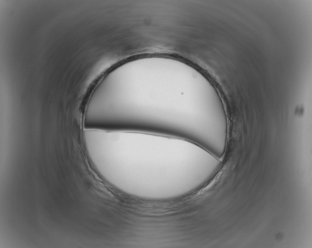 X0000097901171200803141000