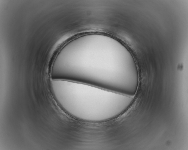 X0000097901172200803141000