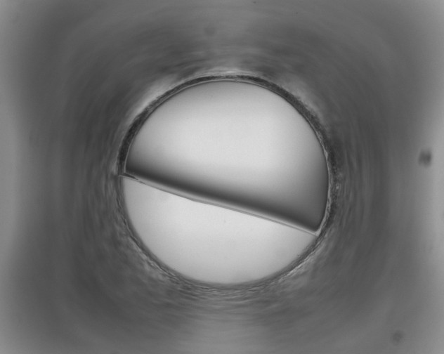 X0000097901173200803141000