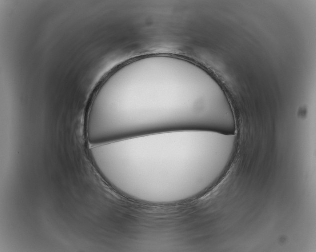 X0000097901174200803141000