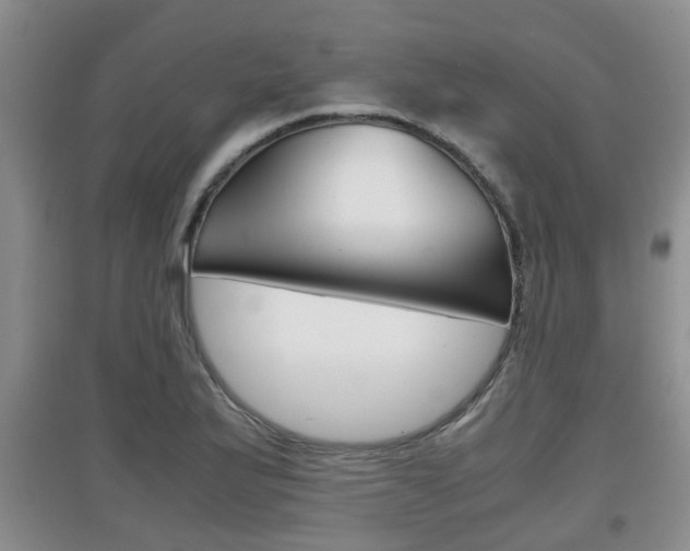X0000097901175200803141000