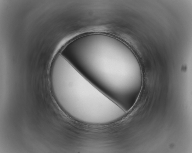 X0000097901176200803141000