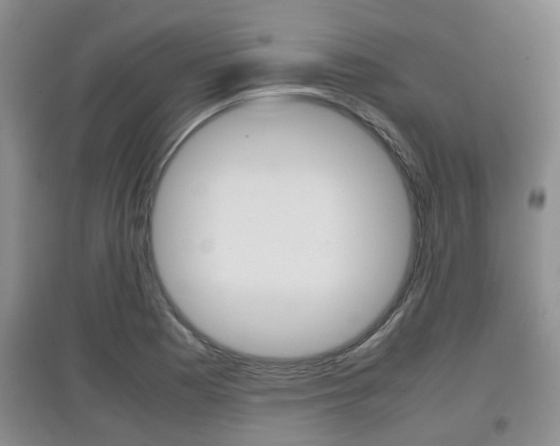 X0000097901177200803141000