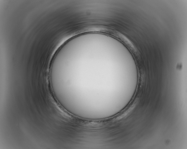 X0000097901178200803141000