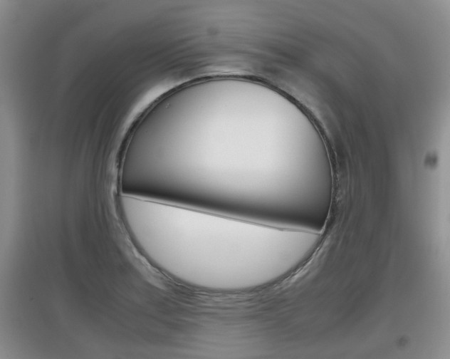 X0000097901179200803141000