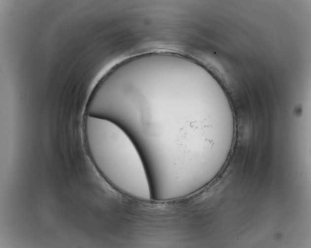 X0000097901182200803140959
