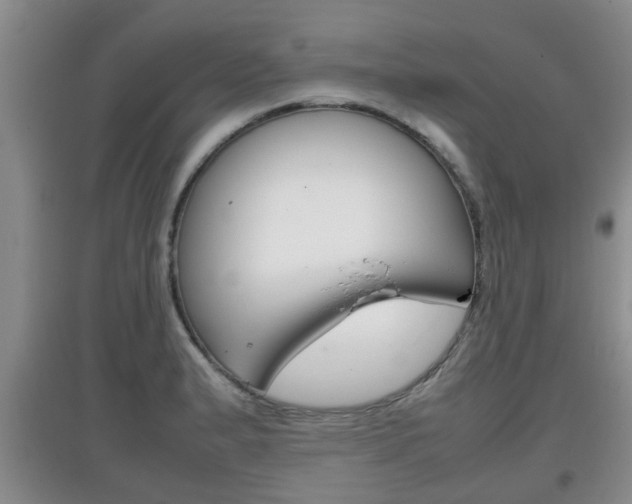 X0000097901183200803140959