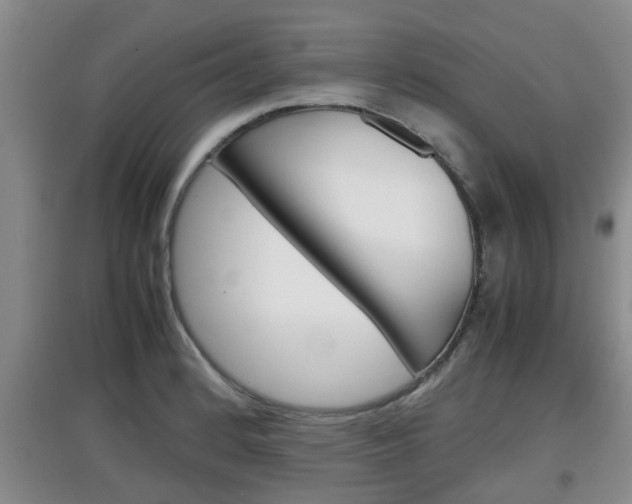 X0000097901184200803140959