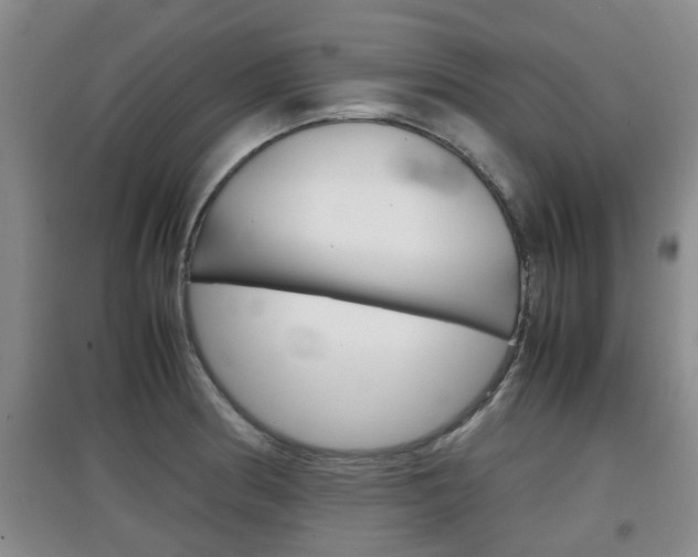 X0000097901186200803140959