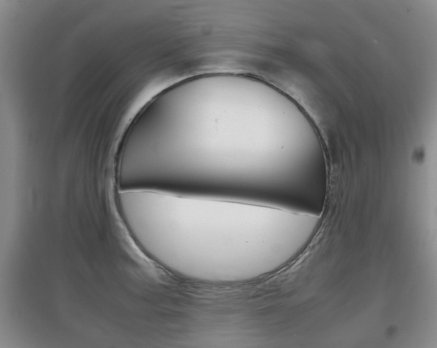 X0000097901187200803140959