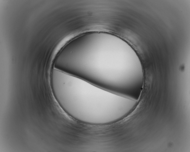 X0000097901188200803140959