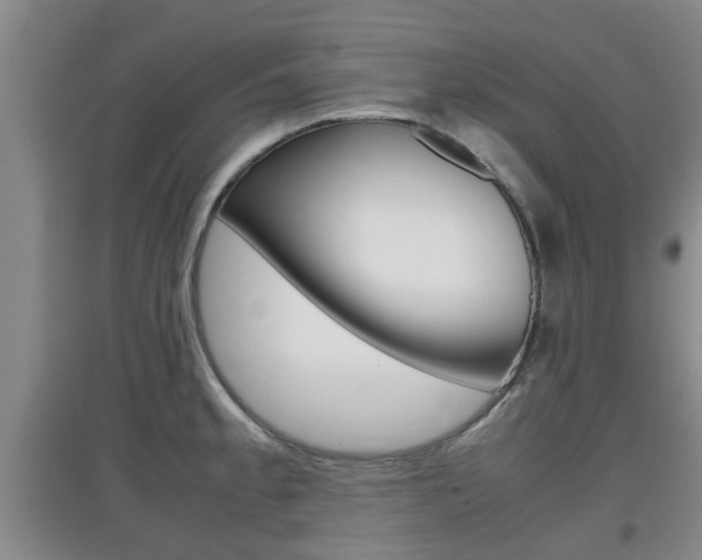 X0000097901189200803140959