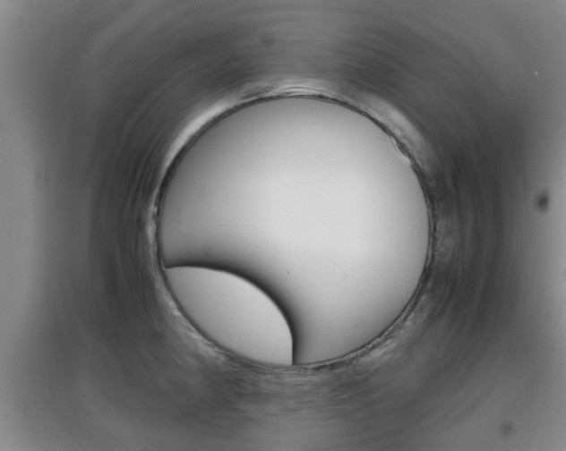 X0000097901190200803140959